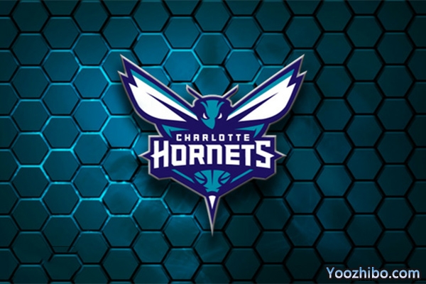2019-2020赛季<a href=/lanqiuzbb/hornets/ target=_blank class=infotextkey>黄蜂</a>队队徽