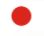 日本U20
