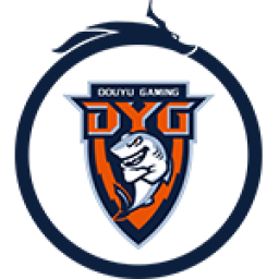 深圳DYG